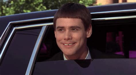 dumb and dumber reading gif|Dumb And Dumber GIFs .